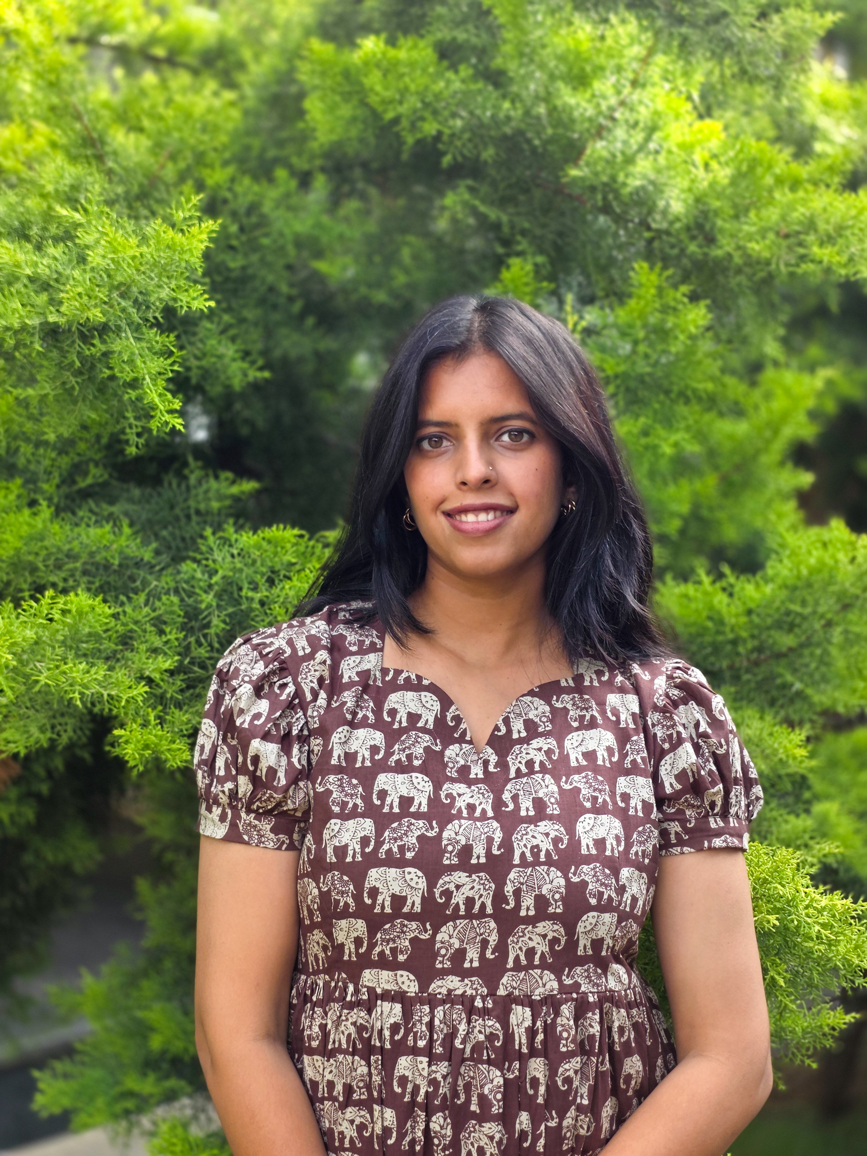 Earthy Brown Elephant Block Print Cotton Midi Dress
